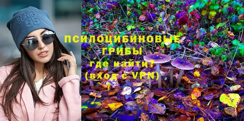 мега как зайти  как найти закладки  Татарск  Галлюциногенные грибы MAGIC MUSHROOMS 